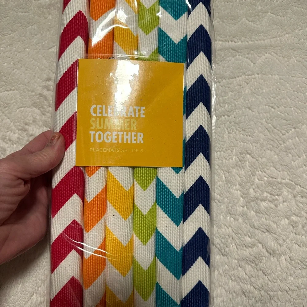 NEW NWT $29.99 Colorful Chevron Placemats Set.